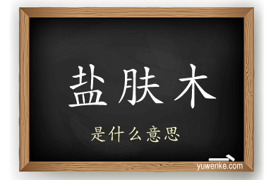 盐肤木