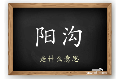 阳沟