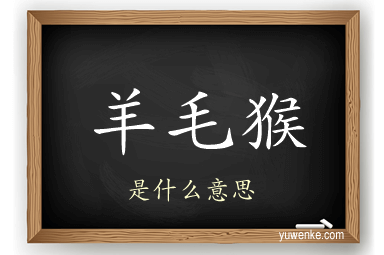 羊毛猴