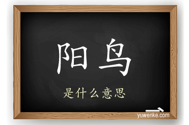 阳鸟