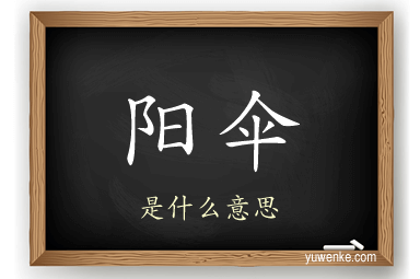 阳伞