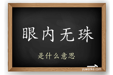眼内无珠