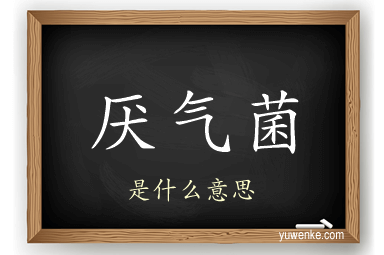 厌气菌