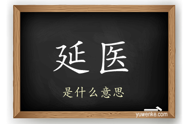 延医
