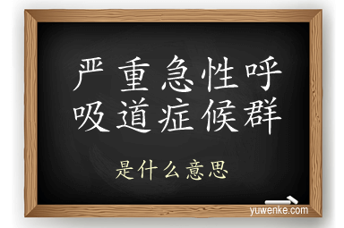 严重急性呼吸道症候群