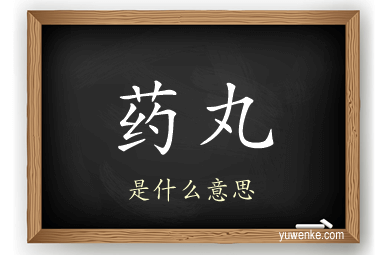 药丸