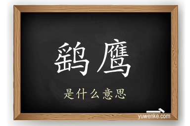 鹞鹰