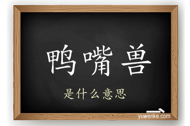 鸭嘴兽