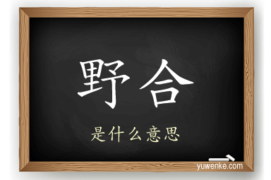 野合
