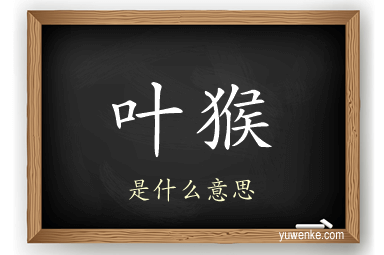 叶猴