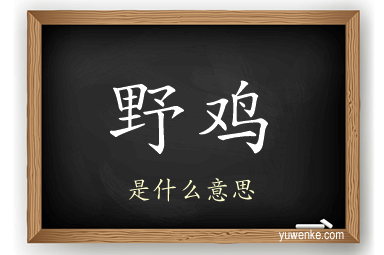 野鸡