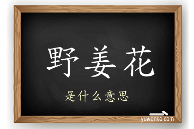 野姜花