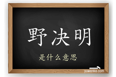 野决明