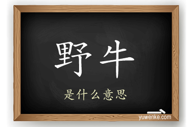野牛