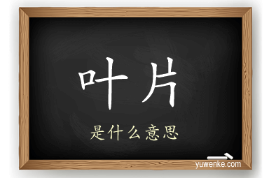叶片