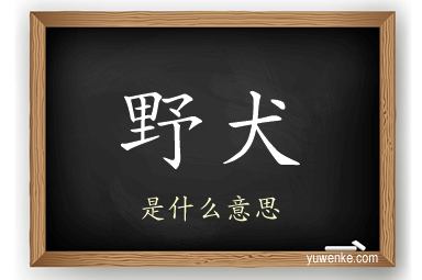 野犬