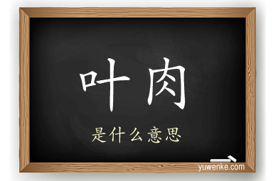 叶肉