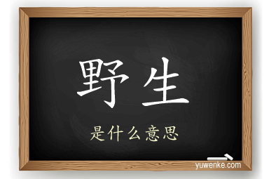 野生