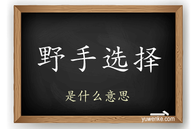 野手选择