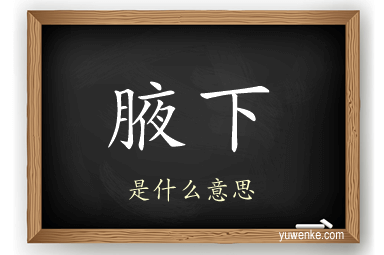 腋下