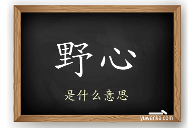 野心