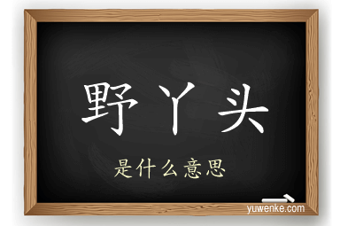 野丫头