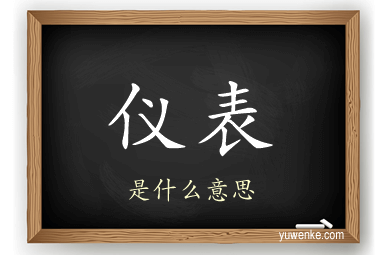 仪表