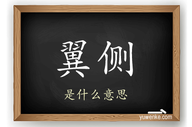 翼侧