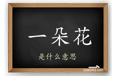 一朵花