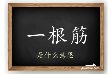 一根筋