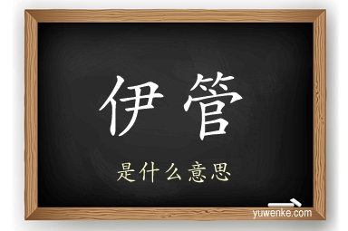 伊管