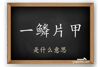 一鳞片甲