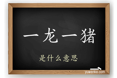 一龙一猪