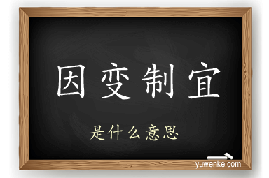 因变制宜
