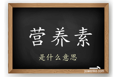 营养素