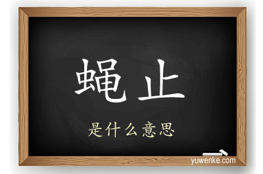 蝇止