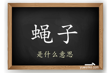 蝇子