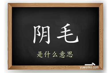 阴毛