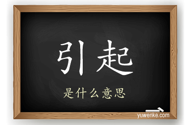 引起