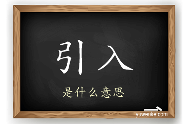 引入