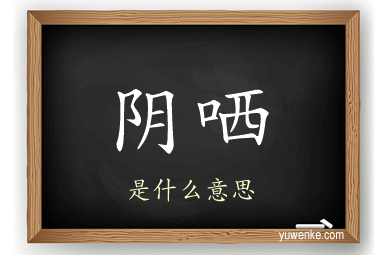 阴哂