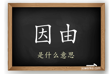 因由