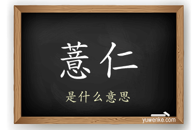 薏仁