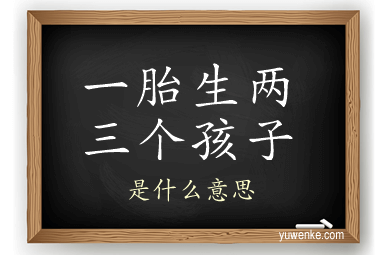 一胎生两三个孩子
