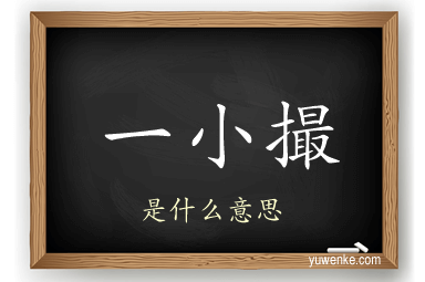 一小撮