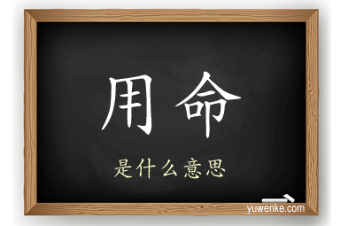 用命