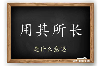 用其所长