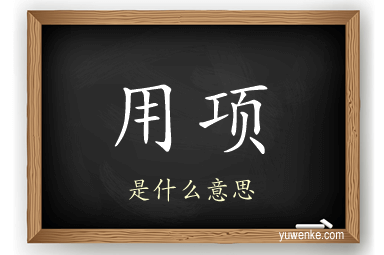 用项