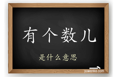 有个数儿