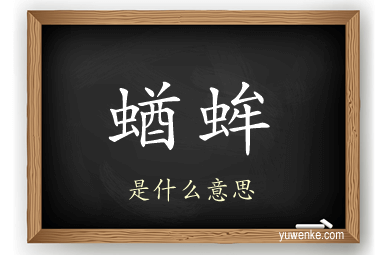 蝤蛑
